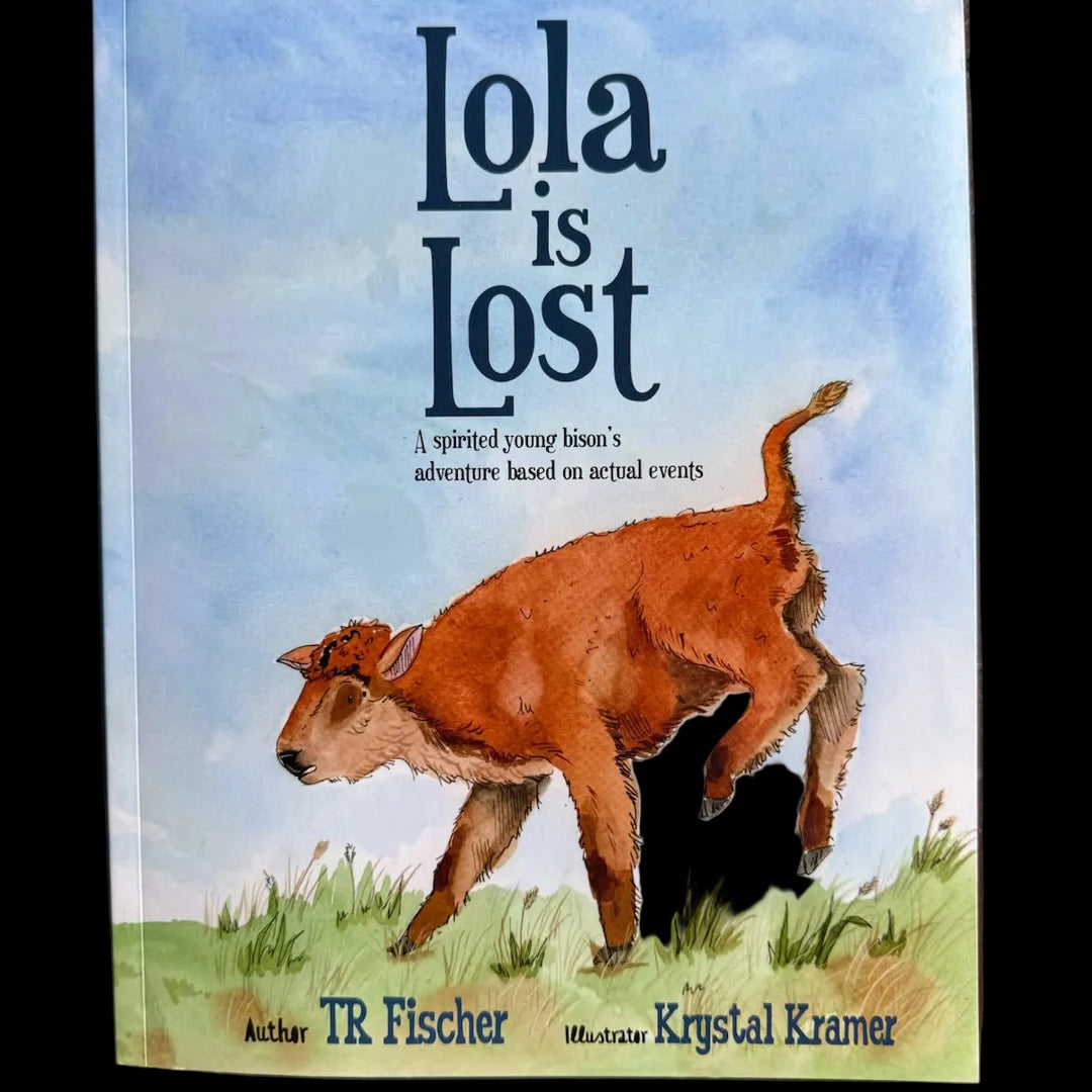 Lola is Lost by TR Fischer